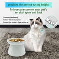 thumbnail image 3 of Plato elevado de cerámica para gatos Slow Feeder Bowl BNOSDM, 350 ml, 3 of 7