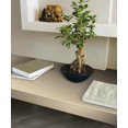 thumbnail image 2 of DC Fix 346-0280 Adhesive Film, Beige Pebble, 2 of 5