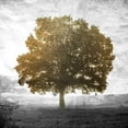 thumbnail image 2 of Allen, Kimberly 20x20 Gold Ornate Wood Framed with Double Matting Museum Art Print Titled - Golden Tree, 2 of 4