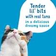 thumbnail image 4 of Friskies Lila Slurprises Flaked Tuna Wet Cat Food Complement, 1.2 oz. Pouches, 4 of 8