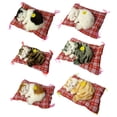 thumbnail image 1 of Lubelski Sleeping Cats Plush Stuffed Toy Press Simulation Sound Animal Cute Doll Kids Gift, 1 of 8