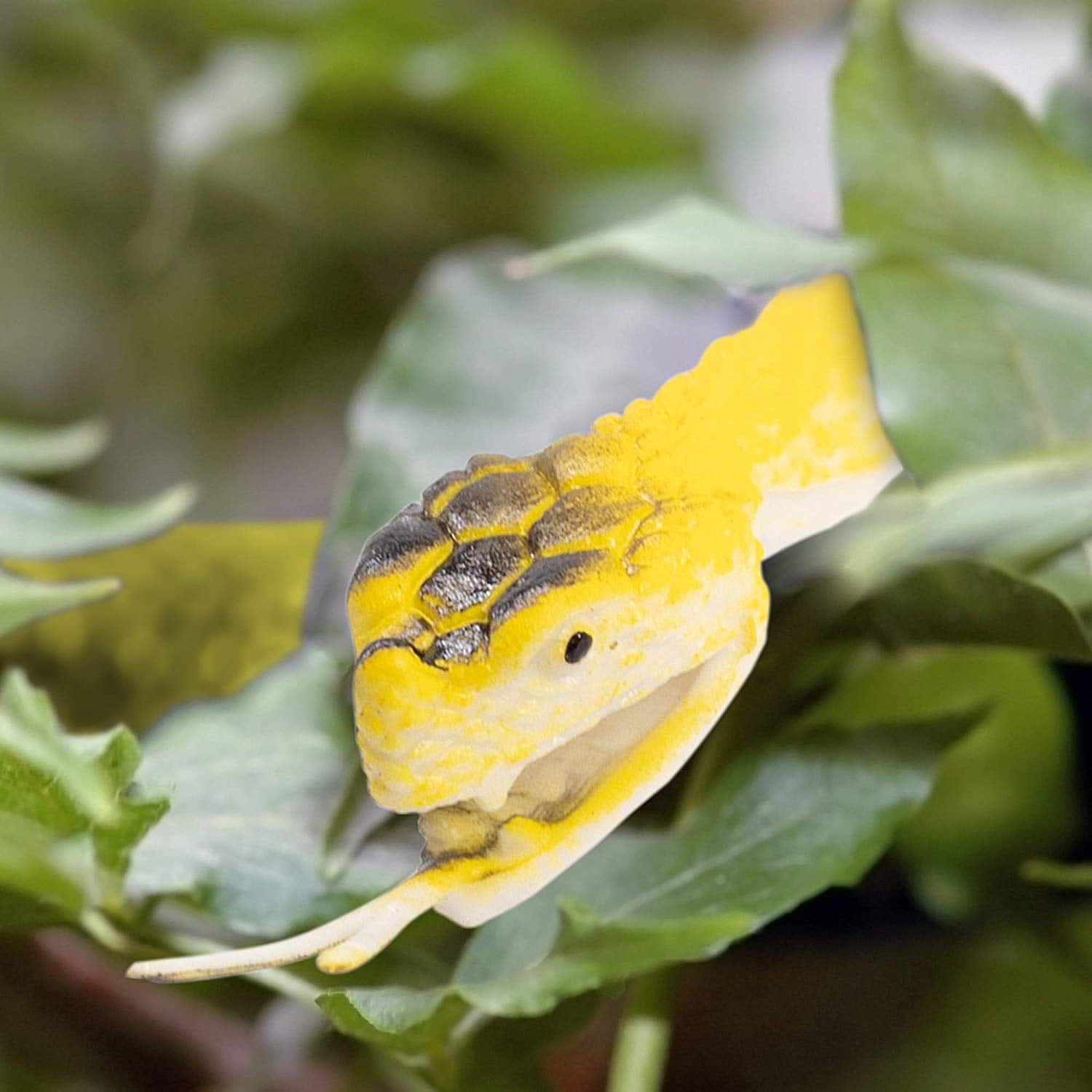 rubber snakes walmart