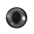 thumbnail image 2 of Dark Gray Cat Realistic Glass Eyes, 2 of 6