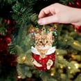 thumbnail image 2 of Christmas Decorations for Cats - Acrylic Christmas Stockings for Tree Hanging - Festive Crafts and Decorations for Holiday Cheer, 2 of 4