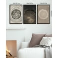 thumbnail image 3 of Drsoum 16x24in3pcs Black Framed Vintage Wood Tree Rings Wall Decor Farmhouse Rustic Framed for Office Dining Room Hallway Paintings Nature Artwork, 3 of 8