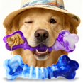 thumbnail image 1 of Dog Toys Kseroo Indestructible, paquete de 2 unidades, para masticadores agresivos, 1 of 8