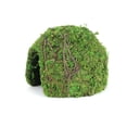 thumbnail image 2 of Galapagos Mossy Dome Terrarium Hideaway, Fresh Green, 1 Each/6 in, 2 of 7