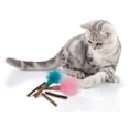 thumbnail image 4 of Silly Silver Stix, 4 of 4