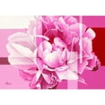 thumbnail image 3 of Bernard, Anne 24x18 Black Modern Framed Museum Art Print Titled - Pivoine V, 3 of 5