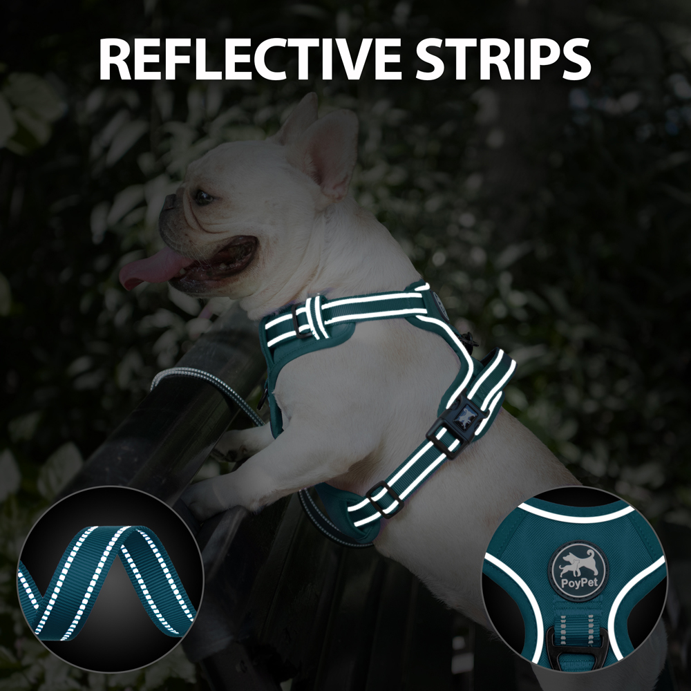 PoyPet Reflective No-Pull Dog Harness Large Blue photo 6