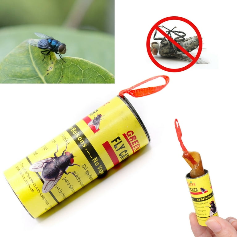 Sticky Fly Strip Fly Catcher, Easy Fly Trap Tape Fruit Fly Traps For Home  Indoor Outdoor, Sticky Fly Paper, Sticky Fly Ribbons Trap Flies, Mosquito,  Gnats, Moths, Flying Insects - Temu Mexico