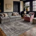 thumbnail image 4 of BERTHMEER 6'x9' Large Area Rugs for Living Room Bedroom Office Indoor Vintage Traditional Distressed Rugs Washable Non-slip,Brown Carpets, 4 of 10