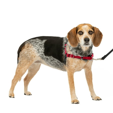UPC: 0759023073385 | PetSafe Easy Walk No-Pull Leash Training Dog Harness  Small/Medium  Red