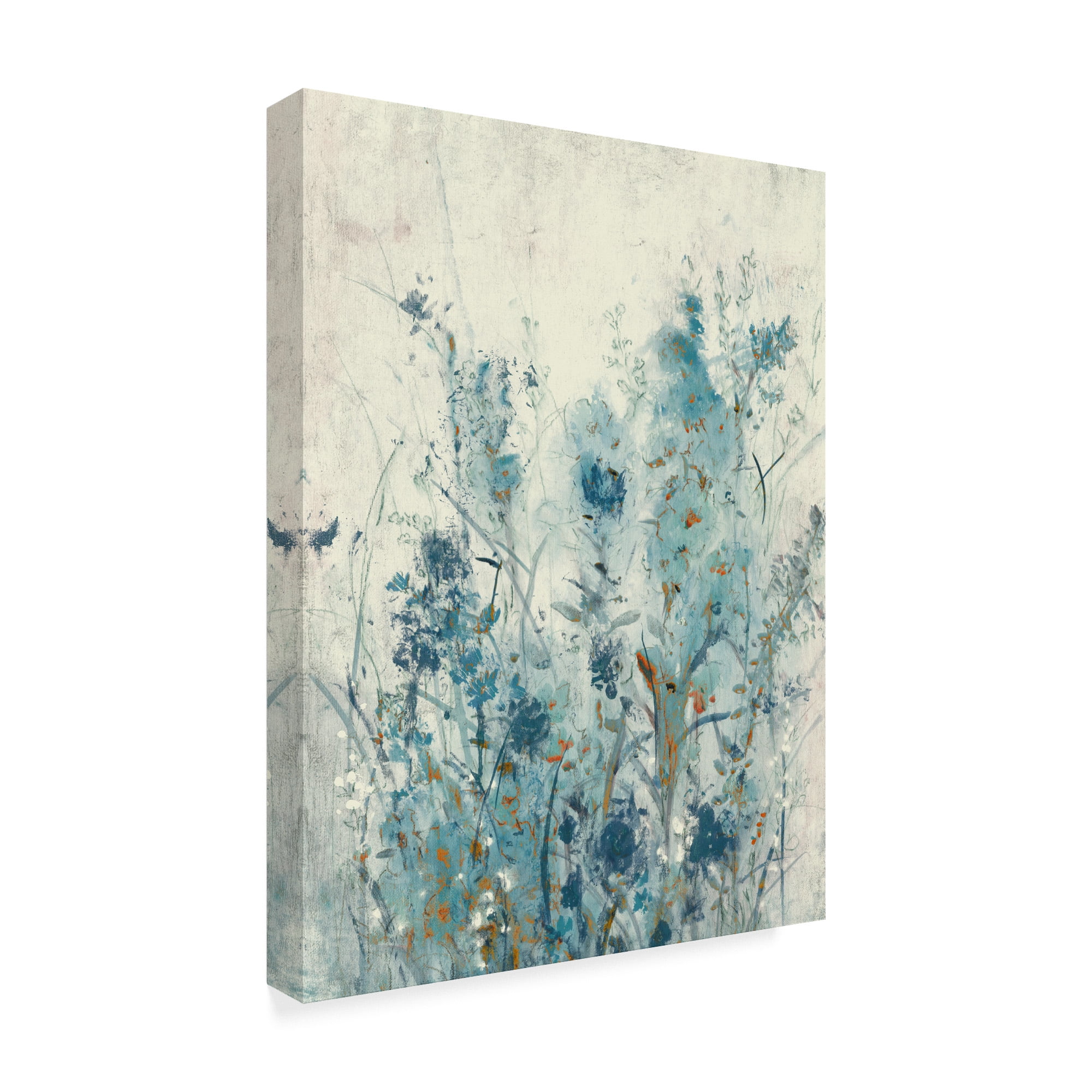 Trademark Fine Art 'Blue Spring II' Canvas Art by Tim OToole
