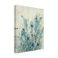 thumbnail image 2 of Trademark Fine Art 'Blue Spring II' Canvas Art by Tim OToole, 2 of 4