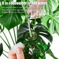 thumbnail image 5 of Rirool 4 Pcs Plant Watering Globes, 140ml Automatic Glass Watering Bulbs, Cactus Shaped Self Watering Device for Indoor Outdoor Plants, Garden Patio Decorative Green, 5 of 7