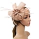 thumbnail image 1 of Fascinador BLESIY Sombrero de té Rosa desnudo, 1 of 8