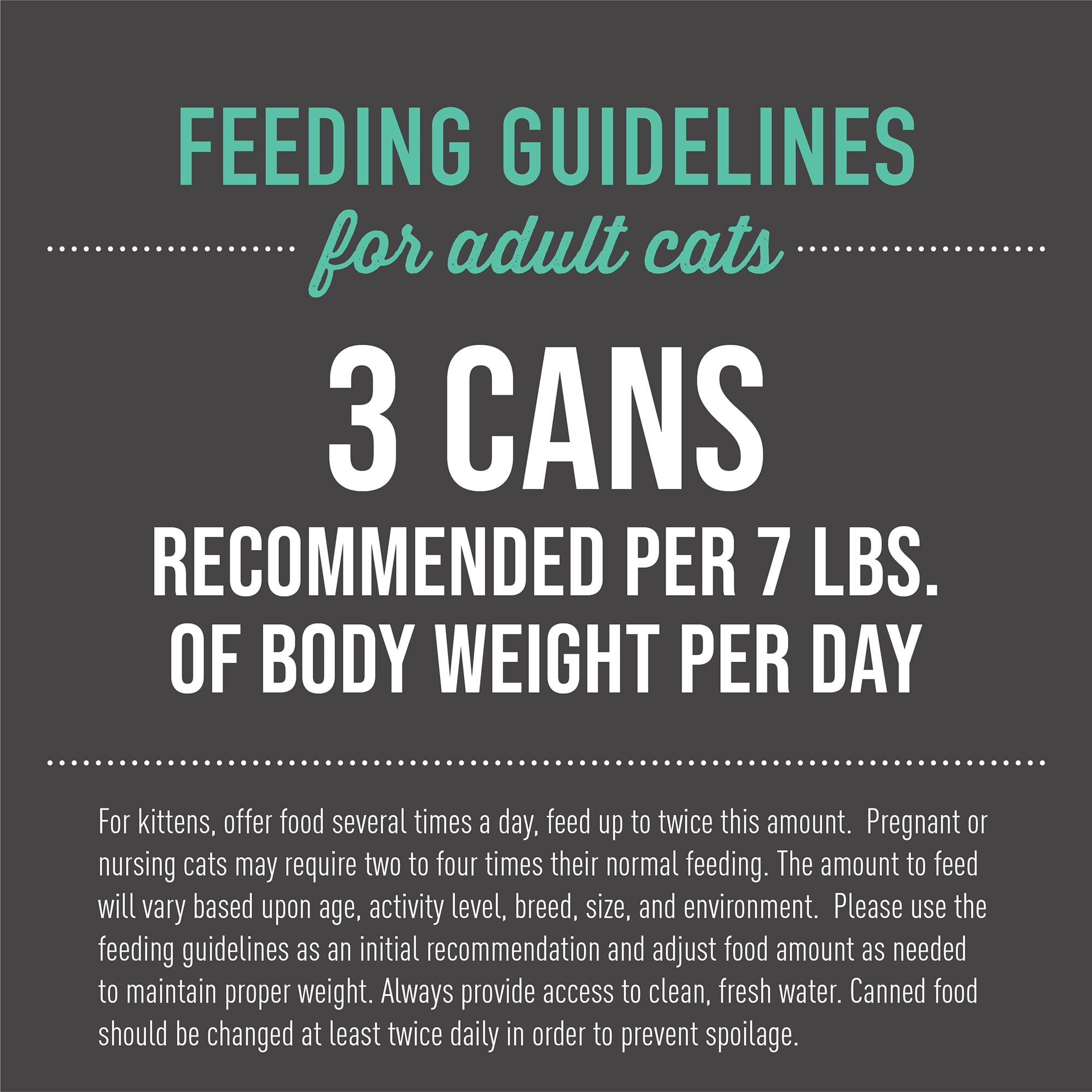 (24 pack) Tiki Cat After Dark Whole Foods Wet Cat Food, Chicken & Pork, 2.8 oz. Can