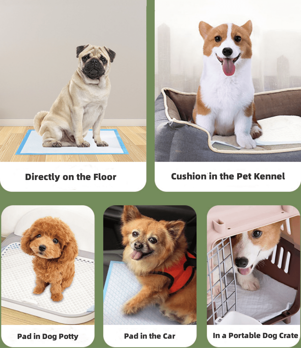 INSMART Potty Pads for Dogs,Puppy Pads Training Pads, Large, 24 in x 24 in, 40 Count Disposable Dog Pee Pet Pads