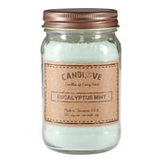 Candlove "Eucalyptus Mint" Scented 16oz Mason Jar Candle 100% Soy Made In The USA