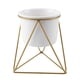 thumbnail image 1 of Maceta de Cerámica Zhivalor y estante de metal geométrico triangular Maceta blanca con Marco dorado, 1 of 8