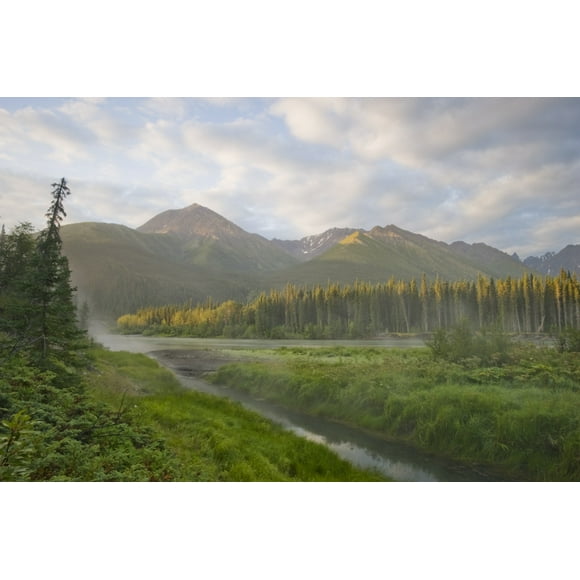 Steam Rising From Moore's Hot Springs With Lush Grass In Foreground, Nahanni National Park, Northwest Territories Poster Print (17 x 11)