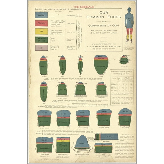 24"x36" Gallery Poster, Food nutrition and Cost 1914
