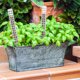 thumbnail image 4 of Houderco 6Ud Soportes De Planta Con Musgo De Pe Para Plantas Trepadoras Interior Con, 4 of 5