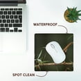 thumbnail image 7 of 3dRose, Carolina Wren bird on Agarita, Hill Country Texas - NA02 RNU0063 - Rolf Nussbaumer, MousePad, 7 of 7