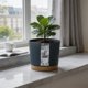 thumbnail image 5 of HWRETIE Resin Flower Pot with Drainage Tray Dark Blue Indoor Planter Pot 16Cm Garden Container for Home Desk Balcony office Succulent Flower Pot, 5 of 6