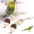 thumbnail image 3 of 2pcs Natural Loofah Pet Chew Toy Bird Parrot Rattan Ball Toy For Small Parakeet Cockatiel Conures Finch, 3 of 5