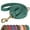 Green, variant on Pet Artist 5FT Soft PU Leather Dog Leash with Brass Clip - 8 Color Options for Walking, Training, Comfortable Grip and Durability