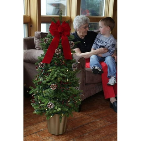 Worcester Wreath Inc. Pre-Lit Classic Tabletop Tree