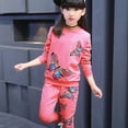 thumbnail image 4 of BAYAIXZ Baby Girls Sweatshirt Outfits Fall Winter Clothes Butterfly Print Sweatshirt Round Neck Cartoon Tops Shirt+Pocket Pants Trousers Athleisure 2Pcs Outfits Girls Clothing (Pink,8-9 Years), 4 of 6