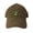 Brown, variant on Adult Palm Tree Embroidered Deluxe Dad Hat