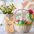 thumbnail image 5 of Guvpev Easter Bunny Toys with Zipper, Shaggy Bunny Peep 6” Collectible Plush Easter Decorations, Cute Bunny Stuffed Animals Zip Up Bag, Easter Basket Stuffers for Kids & Adults, 5 of 13