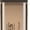 Medium/Dark, variant on Burts Bees Concealer, Tan - 1 Tube