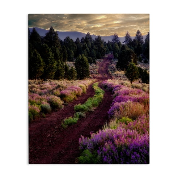 Stupell Industries Rustic Lodge Pink Blooming Meadow Landscape Canvas Art, 24 x 30, by Dennis Frates