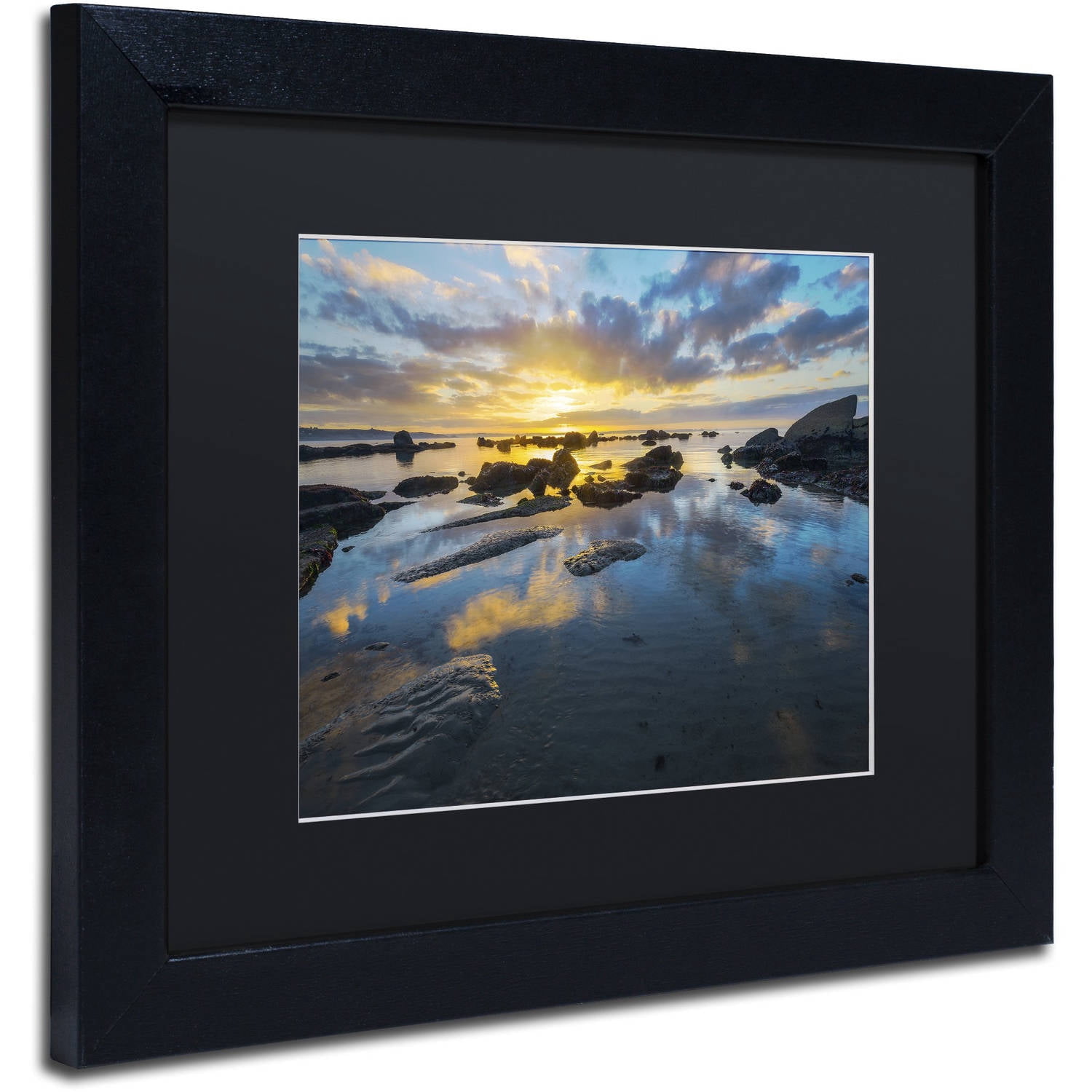 Trademark Fine Art "Nature's Gift" Canvas Art by Mathieu Rivrin, Black Matte, Black Frame
