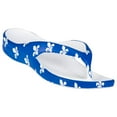 thumbnail image 1 of Women's Dawgs Flip Flops Fleur De Lis Size 7, 1 of 1