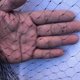 thumbnail image 4 of Bird Net Anti Bird Catcher Netting Pond Net Fishing Net Traps Crops Fruit Tree Flower Garden, 4 of 4