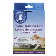 Angle View: COA Puppy Training Line