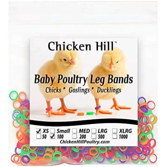 Baby Poultry Leg Bands Size 2 - XSmall Day Old Quail$$Garden & Patio