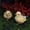 J, variant on Upgraded Easter Decoration Simulation Cute Chicken Decorations Garden Animals Outdoor Resin Crafts K