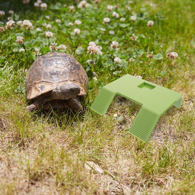 PTOOTP Plateforme pour Tortue Rampe Plateforme pour Réservoir de Tortue Vert Plastique 1Pcs