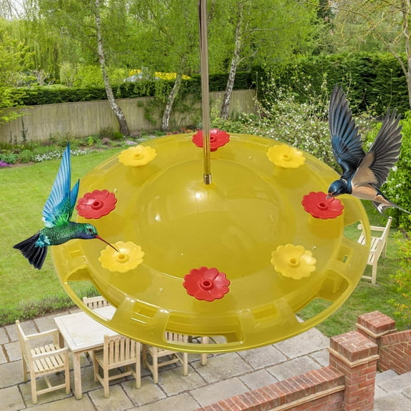 Danieerclosy Glass Hummingbird Feeder with Ant Moat - Outdoor Hanging Bird Feeder for Patio/Garden with Leak-Proof Base