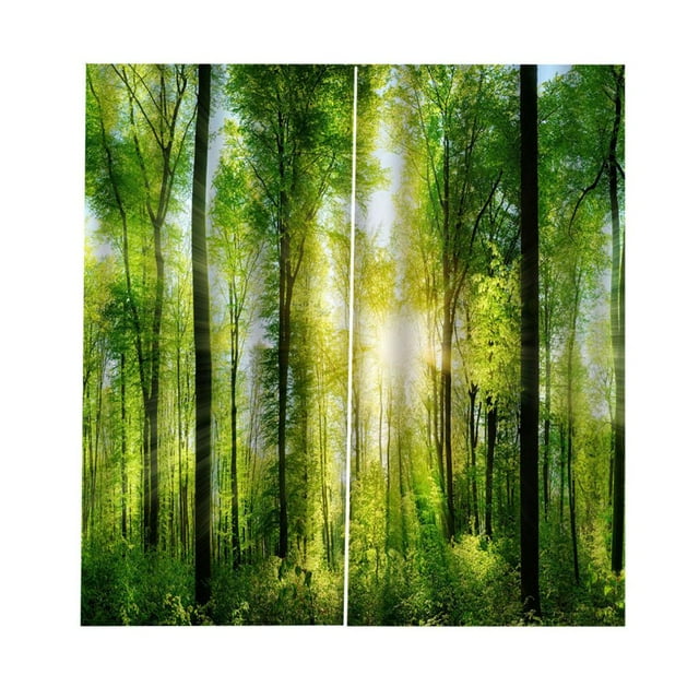 Paneles de cortinas opacas para dormitorio 3D de impresión digital - Tratamiento de ventanas Ojal sólido con aislamiento térmico para sala Soledad Panel de cortina opaca