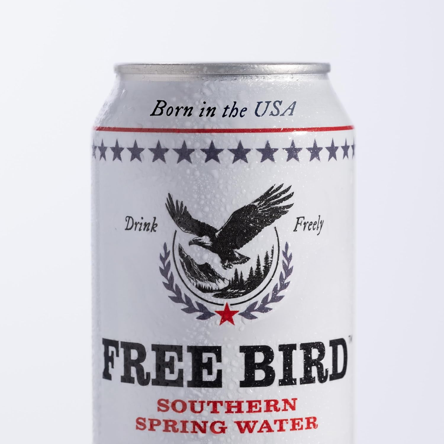 (2 pack) Free Bird Southern Still Spring Water, 12 fl oz, 12 Pack Cans