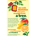 thumbnail image 5 of Solely Organic Mango & Orange Fruit Gummy, 5 of 7