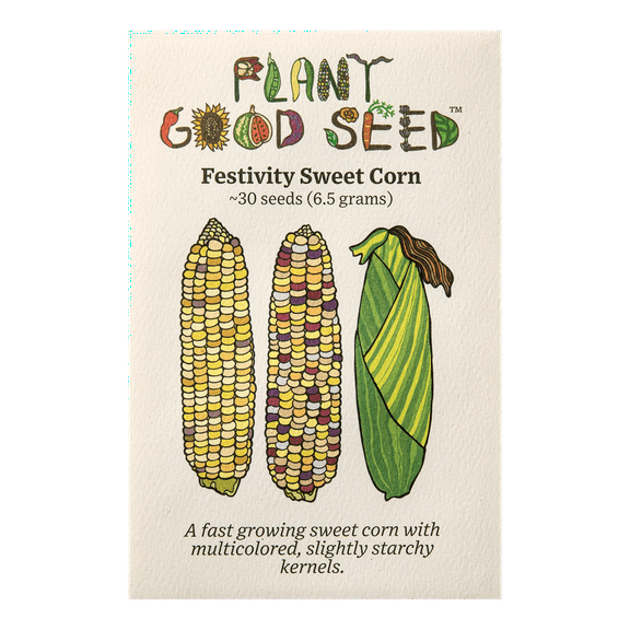 Festivity Sweet Corn Seeds